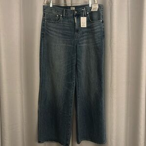 Madewell x Molly Dickson Low Rise Baggy Wide Leg NWT